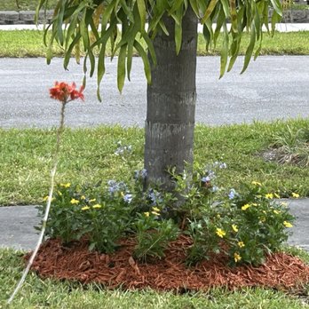 Galloway Farm Nursery - - - Nurseries & Gardening Near Me - Miami, Florida Galloway Farm Nursery - - - Nurseries & Gardening Near Me - Miami, Florida