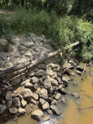 George Mitchell Nature Preserve by null