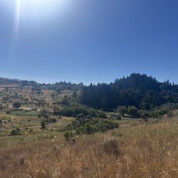 Skyline Ridge Preserve - Trail