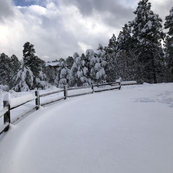 The Grove  - The snow is my favorite season! - Apartments Near Me - Flagstaff, Arizona