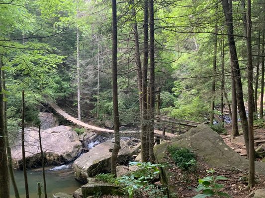 Signal Point Trail by null