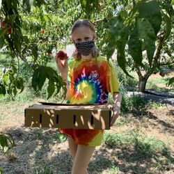 The Cloverleaf Farm - My daughter's fave activity is pickin'