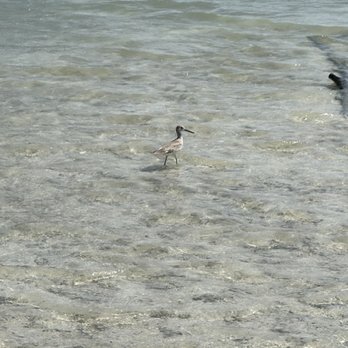 Lovers Key State Park - Beaches Near Me - Fort Myers Beach, Florida Lovers Key State Park - Beaches Near Me - Fort Myers Beach, Florida