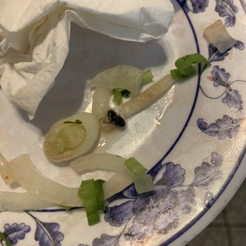 Saigon - Dead fly on my pho never coming here again - Vietnamese Near Me - San Diego, California Saigon - Dead fly on my pho never coming here again - Vietnamese Near Me - San Diego, California