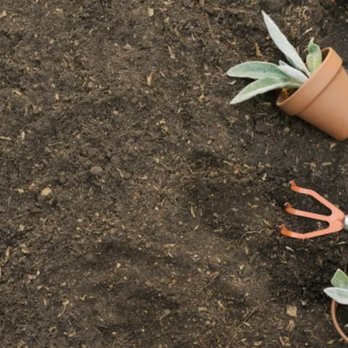Moose Landscaping - Landscaping Near Me Moose Landscaping - Landscaping Near Me