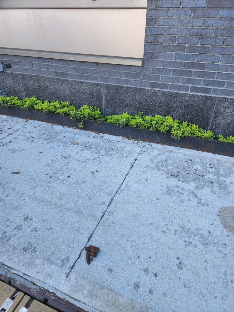 DERMOT Updated September 2024 21 Photos & 122 Reviews 729 7th Ave, New York, New York