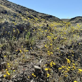 Dante's View - Drive up - Hiking Near Me - Death Valley Junction, California