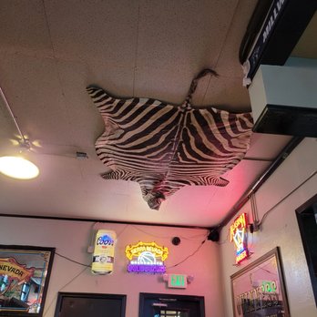 Zebra Club - Ceiling decor - Dive Bars Near Me - Sacramento, California Zebra Club - Ceiling decor - Dive Bars Near Me - Sacramento, California
