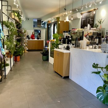 PlantShed - Interior - Florists Near Me - New York, New York PlantShed - Interior - Florists Near Me - New York, New York