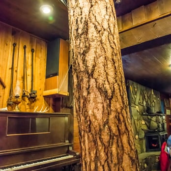 Nemo Guest Ranch - a tree trunk and piano - Hotels Near Me - Nemo, South Dakota Nemo Guest Ranch - a tree trunk and piano - Hotels Near Me - Nemo, South Dakota