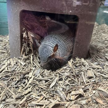 Branson Wild World - Aquariums Near Me - Branson, Missouri