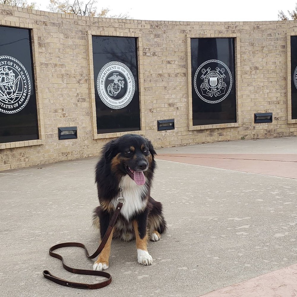 ADVENTURE DOG TRAINING OKC Updated August 2024 1121 SW 44th, Oklahoma City, Oklahoma Pet
