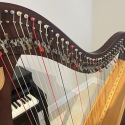 Harp By Brittany - Beginner harp.