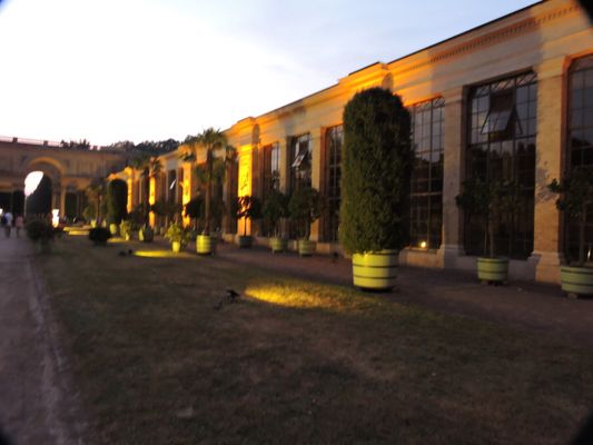 Orangerieschloss by null