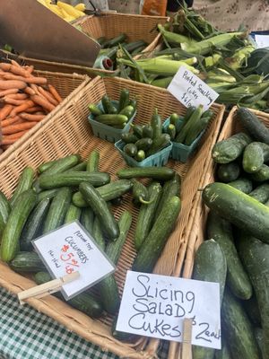 Portland Farmers' Market by null