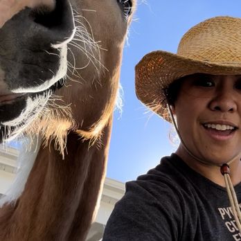 Bridle Up Hope - Horseback Riding Near Me - Alpine, Utah