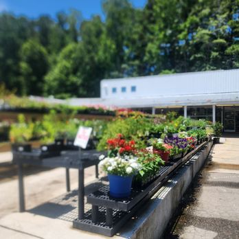 Atlantic Gardening Company - Nurseries & Gardening Near Me - Raleigh, North Carolina