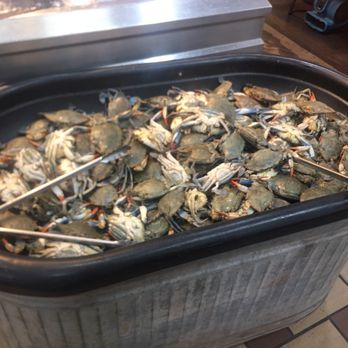 Seafood City Supermarket - Live blue crab - Filipino Near Me - Irvine, California Seafood City Supermarket - Live blue crab - Filipino Near Me - Irvine, California