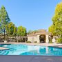 Lamy Tung - Moon Realty