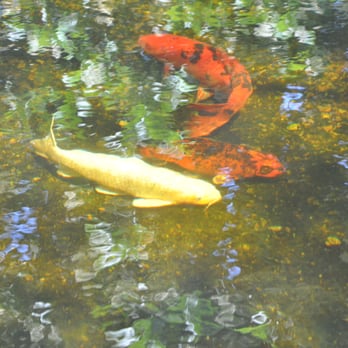 Baton Rouge Zoo - Zoos Near Me - Baton Rouge, Louisiana