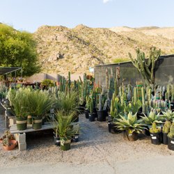 Moller's Garden Center - Wholesale desert-friendly plants for landscape design.