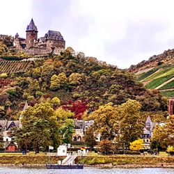Burg Stahleck - Burg über dem Rhein (06/2024)