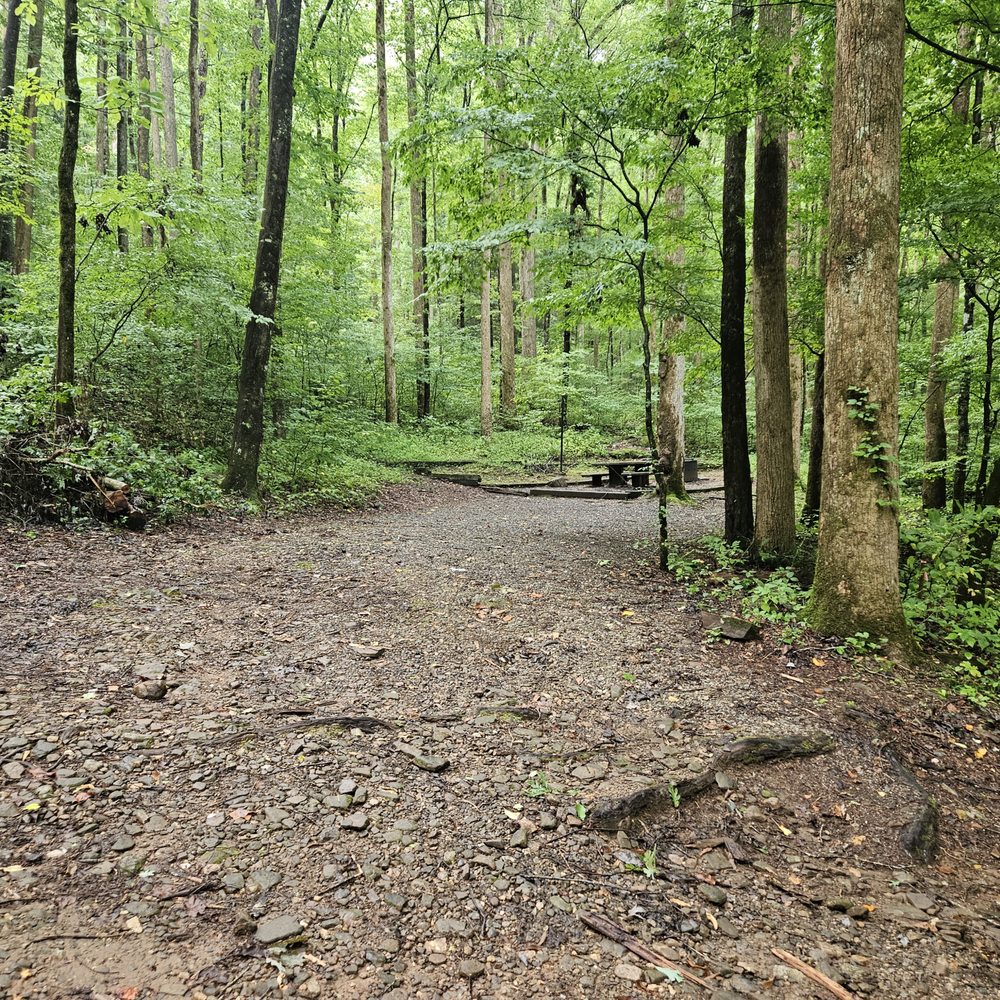 Andrew's Cove Campground - Campsite 5 - Campgrounds Near Me - Helen, Georgia