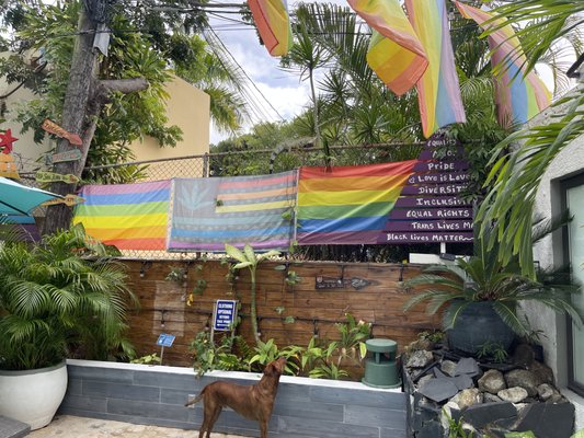 Coqui del Mar Guest House by null