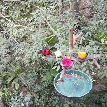 香港公園 - Parks Near Me - Hong Kong, HK 香港公園 - Parks Near Me - Hong Kong, HK
