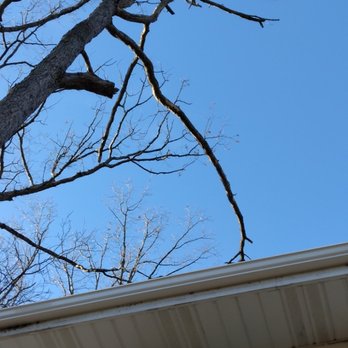 All-Pro Tree Service - Tree leaning over my house - Tree Services Near Me - State College, Pennsylvania All-Pro Tree Service - Tree leaning over my house - Tree Services Near Me - State College, Pennsylvania