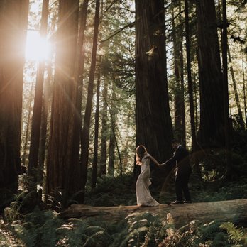 Naomi Levit Photography - Event Photography Near Me Naomi Levit Photography - Event Photography Near Me