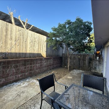 Trujillo’s Services - After w/tree - Fences & Gates Near Me Trujillo’s Services - After w/tree - Fences & Gates Near Me