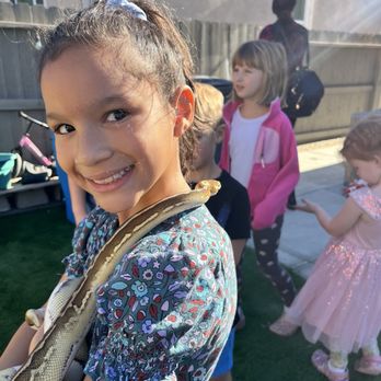 CMC Reptiles - Reptile Shops Near Me