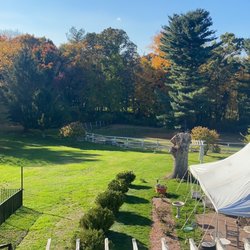 Back yards