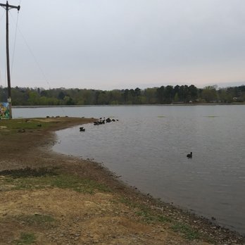 Cullman County Parks - Ducks lots of them - Parks Near Me - Cullman, Alabama