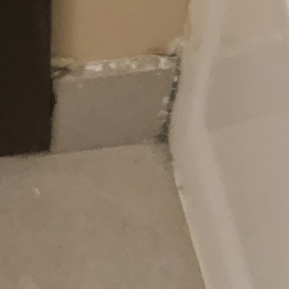 Econo Lodge - Mold on floor tile - Hotels Near Me - Buckley, Washington