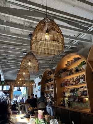 Bar Darling by null