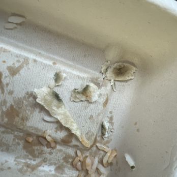 Chipotle Mexican Grill - Clearly green. Tried to take a bite and it all tasted like mold - Mexican Near Me - Phoenix, Arizona Chipotle Mexican Grill - Clearly green. Tried to take a bite and it all tasted like mold - Mexican Near Me - Phoenix, Arizona