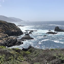 California Sea Otter Game Refuge