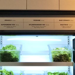 Greens Menu - A refrigerated display case holds containers of fresh greens such as arugula, romaine, and baby spinach. Above the case, a menu lists salad options and ingredients, including supergreens mix, splendidgreens mix, and a rice dish. The setting appears to be part of a restaurant or salad bar offering customizable greens and grain bowls.