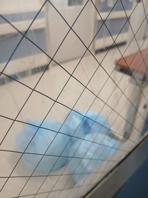 Harris Health Ben Taub Hospital by null