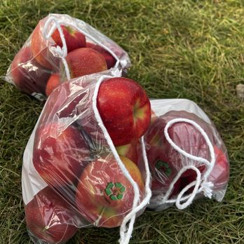All Seasons Orchard - Fresh picked apples - Pumpkin Patches Near Me - Woodstock, Illinois All Seasons Orchard - Fresh picked apples - Pumpkin Patches Near Me - Woodstock, Illinois