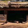 Photo of Lammersdorfer Hütte