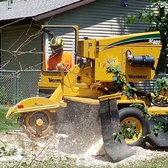 C & A Arborists - Tree Services Near Me - New Buffalo, Michigan