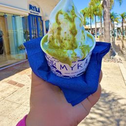Frozen Yogurt Frozen Yogurt