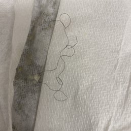 The hair I found in my salad