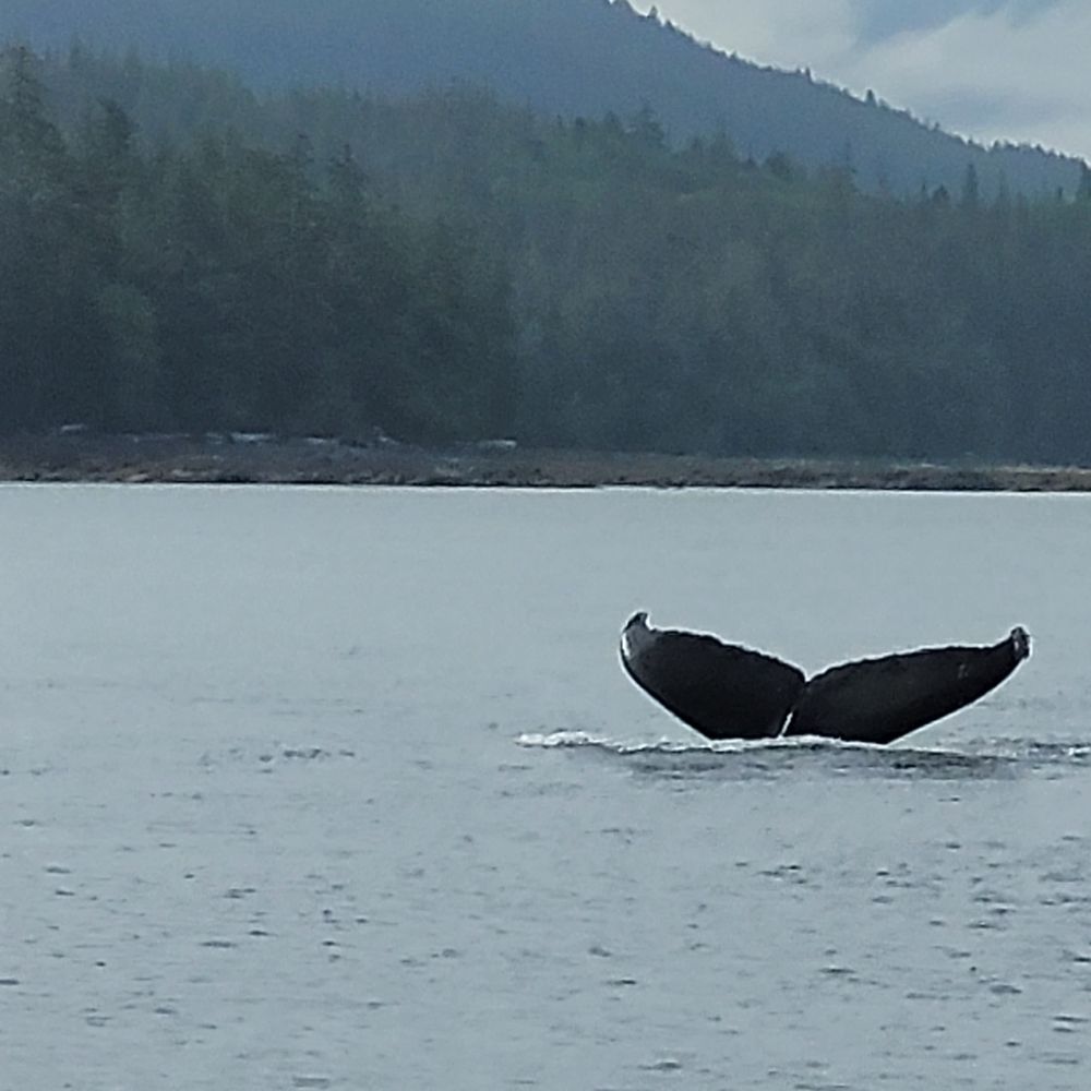 Eagle One Enterprises - Boat Tours Near Me Eagle One Enterprises - Boat Tours Near Me