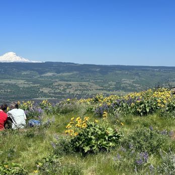 Tom McCall Preserve at Rowena - View - Hiking Near Me - Mosier, Oregon