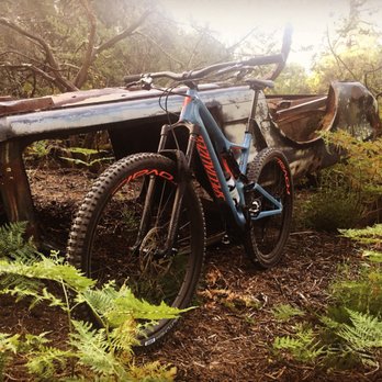 Scotts Valley Cyclesport - Bikes Near Me - Scotts Valley, California