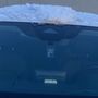 Photo of Bayside Auto Glass